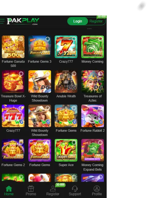 PAKPLAY Game